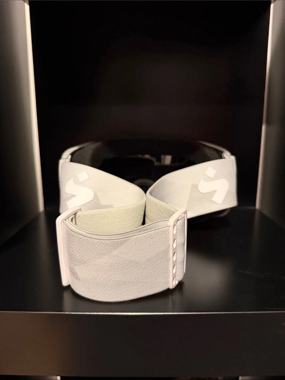 Sweet Protection Ski Goggles